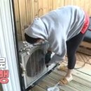 드릴씨