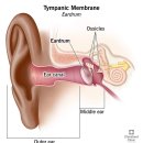 과천우주동물병원 이미지