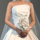 블랙홀 | 루나스포사 본식 드레스 셀렉 후기👰🏻‍♀️ [추가금 O]