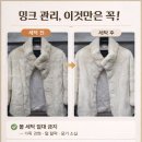 명품크린세탁소 이미지