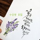 수채캘리그라피 오전반 이미지