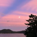 멜러드 | [여수독채풀빌라] 최대 12인까지 수용 가능한 감성 숙소 여수 멜러드 자세한 후기