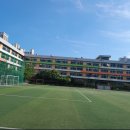장평중학교 Daum카페