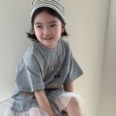 그레이팬더