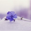 마음의 문 이미지