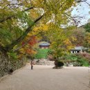 건국공영경주