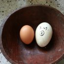 하마 농장 이미지