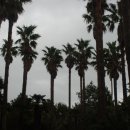 일출랜드식물원 이미지