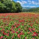 필봉산길 이미지