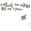 거북이-캘리그라피,글자일러스트 이미지