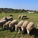 연계목장 이미지