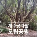 에듀시티로 | 제주 곶자왈 도립공원/코스/후기