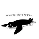 윤안경원 이미지