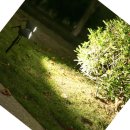 쇼핑나라 이미지