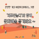 루씨쏜갤러리스튜디오
