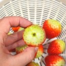 GS더프레시 주례점 | 신선특별시 딸기 GS더프레시 구매, 맛은 괜찮았을까?