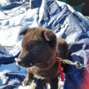 하영경로당 이미지