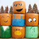 시선목장 이미지