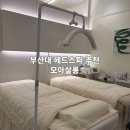 부산대 헤드스파 추천 모아살롱