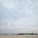 우주딸기 이미지
