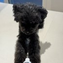 (주)치어럽메디케어 이미지