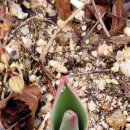 제비봉펜션 이미지