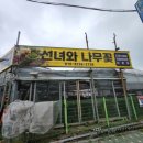 선녀와나무꽃