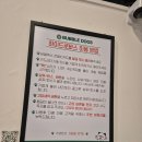 버블독스 양산동(연제동) 사용 후기! 스피츠 셀프 목욕 시키기