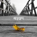 세상살이 이미지