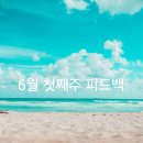 (주)피드백 이미지