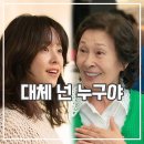 솜이랑 | 천국보다 아름다운 후기 사랑꾼 부부보다 솜이 정체가 킥?
