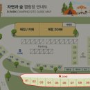 자연과숲 - 14712 | 자연과숲