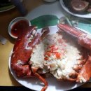 바다포차 이미지