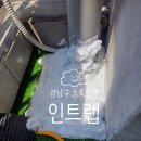 강남구 소독업체 아파트 바퀴벌레 완벽 박멸 후기