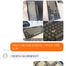 쌔거야 티스토리