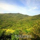 완도수목원 이미지