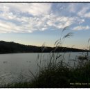 솔빛예쁜펜션 이미지