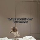 May _ 한 번쯤은 돌아가도 괜찮은 사랑