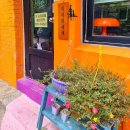 성안 벽화마을 시화 | 목포 가볼만한 곳 미지의세계 시화마을 볼거리가득 아기자기 소품샵