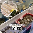 도안수산식당 | 대전 관저동 횟집 정치망에서 가족외식 후기 상차림 비용 메뉴
