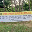 맑음터공원 캠핑장 이미지