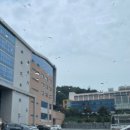 배재대학교 | 토익 스피킹 IL 후기 및 배재대학교 고사장 후기