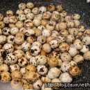 엄마반찬도시락 이미지