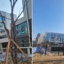 잠원동 61-6 _ 이미지