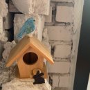 블랑제리 라팡 이미지