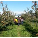 구만농장 이미지