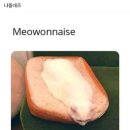 처갓집양념치킨(전대점)