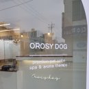 오롯이;독 이미지