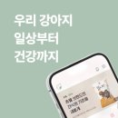 멍이로움 이미지