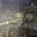 혜성정비 | 2026년 4월 1주차